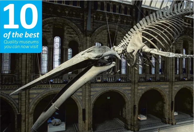  ??  ?? A blue whale skeleton forms the main exhibit at the Natural History Museum in London (photo: Rob Stothard/Getty Images) with (below in circle) visitors to Churchill War Rooms (photo: Carl Court/AFP via Getty Images)