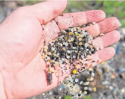  ??  ?? Nurdles, or microbeads, in their thousands washed up and polluting the beach-head at Ferrycraig­s House, near the Queensferr­y Crossing, in the Firth of Forth.