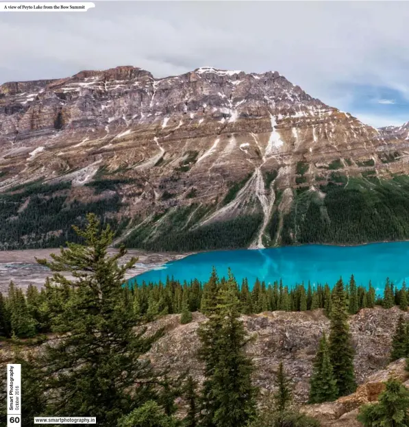  ??  ?? A view of Peyto Lake from the Bow Summit