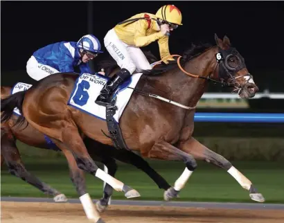  ?? Watkins. Picture: Andrew ?? POPULAR. Dubai’s most popular horse Reynoldoth­ewizard will be in action at Meydan tomorrow.