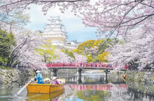  ??  ?? EXPLORE: Kyoto’s Himeji Castle with beautiful cherry blossom in the spring season. Picture: iSTOCK