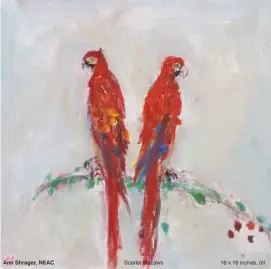  ??  ?? Scarlet Macaws 16 x 16 inches, oil Ann Shrager, NEAC