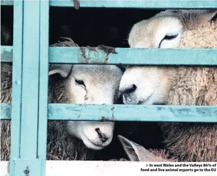  ??  ?? > In west Wales and the Valleys 86% of food and live animal exports go to the EU