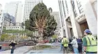  ??  ?? Workers raise the 2018 Rockefelle­r Center Christmas tree, a 72-foot-tall Norway spruce, Saturday in New York.