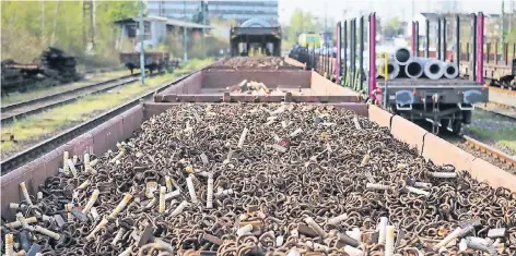  ?? FOTO: RAILFLEX ?? So sieht der Schrott auf dem reaktivier­ten Gleis aus.