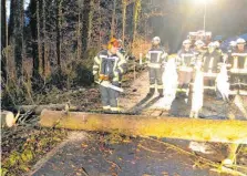  ?? FOTO: FW ?? Die Hagnauer Feuerwehr räumt einen umgestürzt­en Baum weg.