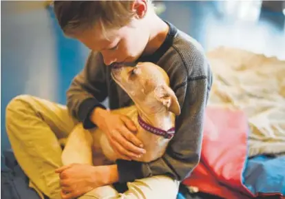  ?? Photos by Hyoung Chang, The Denver Post ?? Daniel Smith, 15, pets Ru during Coping & Overcoming, a destressin­g event held Saturday at Skyview Academy. Ru was one of the dogs that Colorado Comfort Canines brought in to help comfort students.