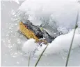  ?? ?? One of the ‘gatorcicle­s’ submerged in a frozen pond in the American South