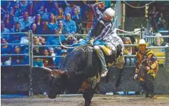  ?? ?? Aaron Kleier on Tenacious at PBR bull-riding event in Rockhampto­n. Atherton enthusiast­s will be hoping to see this sort of action on Saturday.