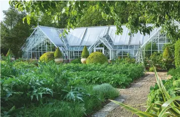  ??  ?? Artichokes and potatoes help to fill the lush kitchen-garden beds in summer