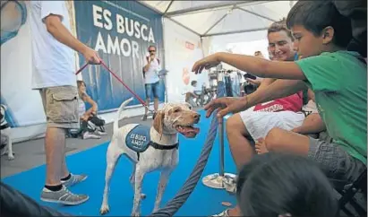  ?? SERGI ALCÁZAR BADIA ?? A la Mostra d’Associacio­ns també hi ha un espai per expressar afecte als animals