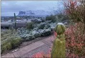  ?? KEVIN NUNN — THE ASSOCIATED PRESS ?? Snow covers shrubs and the top of a cactus east of Phoenix, Ariz., on Thursday.