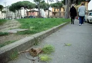  ??  ?? Procession­arie a terra ieri in piazza della Vittoria