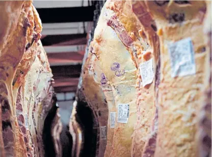  ??  ?? En expansión. Hasta noviembre, los embarques de carne argentina habían alcanzado las 223.000 toneladas.