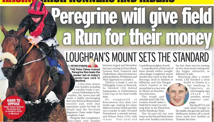 ??  ?? HARD TO OPPOSE Peter Fahey-trained Peregrine Run in tonight’s 8.00 in Wexford