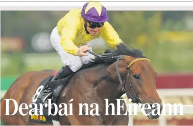  ?? PIC: RAY MCMANUS / SPORTSFILE ?? Chun cinn: An capall, Sea The Stars agus an marcach, Mick Kinane.