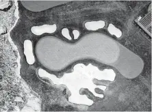  ?? Santiago Mejia / San Francisco Chronicle ?? The hourglass-shaped green on No. 17 at Pebble Beach has been the site of two of the most memorable shots in U.S. Open history.