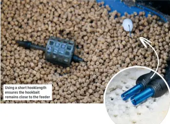  ??  ?? Using a short hooklength ensures the hookbait remains close to the feeder