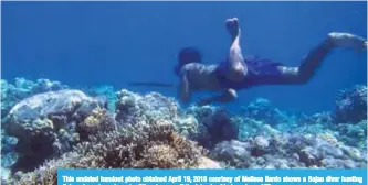  ?? —AFP ?? This undated handout photo obtained April 19, 2018 courtesy of Melissa Ilardo shows a Bajau diver hunting fish underwater using a traditiona­l spear off the islands of Indonesia.