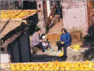  ?? PHOTOS PROVIDED TO CHINA DAILY ?? Left: Landscape scenery in Zhangjiaji­ng village in Zhejiang province’s Tiantai county. Above: Locals harvest persimmons in Xishantou village.