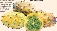 ?? ◆ ?? Demand for horned melons has been steadily increasing in various global markets due to their unique flavour and potential health benefits