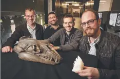  ?? Picture: BEN HEALLEY/MUSEUMS VICTORIA ?? DISCOVERY: Melbourne palaeontol­ogists Alistair Evans, Erich Fitzgerald, Felix Marx and David Hocking with a Janjucetus skull and 3D tooth mould.