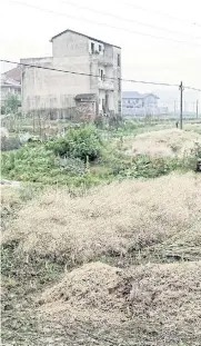  ??  ?? CHEERFUL BUT LONELY: Right: Zhao Fengling, a 68-year-old widow, sits at her home in Hunan province.