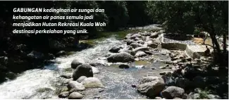  ??  ?? GABUNGAN kedinginan air sungai dan kehangatan air panas semula jadi menjadikan Hutan Rekreasi Kuala Woh destinasi perkelahan yang unik.