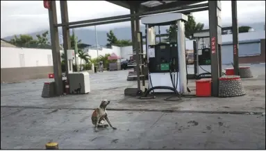  ?? ASSOCIATED PRESS ?? A dog sits at an empty gas station amid gas shortages during a general strike in Port-au-Prince, Monday. Workers angry about the nation’s lack of security went on strike in protest two days after 17 members of a US-based missionary group were abducted by a violent gang.