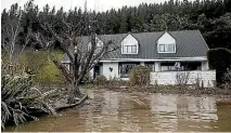  ??  ?? Andrea Brown’s family decided against evacuating their property on Friday night. She said people were choppered out of Henley from a chapel nearby.