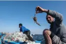  ?? ?? Nabil and Imed find blue crabs entangled in their fishing nets in the waters near the coastal town of Guellela Photograph: Rossella Santosuoss­o