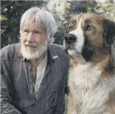  ??  ?? 0 Harrison Ford with his digitally created hound Buck