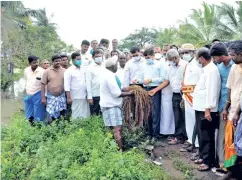  ??  ?? Monitoring officer Subbaiyan inspecting the damaged crops in Thanjavur