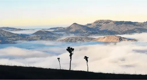  ?? PHOTO: STEPHEN JAQUIERY ?? Blanket of mist . . . Fog filled Otago Harbour, along with other parts of coastal Otago, yesterday morning, as can be seen in this view from Heyward Point Rd looking towards Portobello with Papanui (left) and Hoopers Inlets behind.
