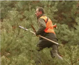  ??  ?? D’après les études, précipitat­ion et milieu fermé constituen­t des risques aggravants, expliquant ainsi la plus forte proportion d’accidents causés par les traqueurs. Dagues et épieux limitent le danger.