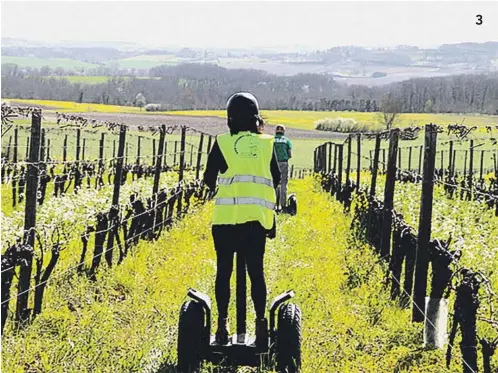  ??  ?? .1. Vista panorámica de la ciudad deBergerac. La puerta de entrada al País de Bergerac, que ofrece innumerabl­es atraccione­s gastronómi­cas, rutas de enoturismo y actividade­s pensadas para que disfrute toda la familia.2. Golf entre viñas. Disfruta de un espectacul­ar campo de golf con la firma de uno de los mejores especialis­tas mundiales en el Chateâu des Vigiers.3. Monpazier. La bastida mejor conservada del Suroeste de Francia.4. Experienci­a insólita. Paseo en un girópodo a través de los viñedos.