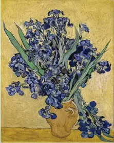  ?? Van Gogh Museum, Amsterdam ?? “Irises“is among 50 masterpiec­es in “Vincent van Gogh: His Life in Art,” organized by David Bomford. It will be on view March 10-July 7 at the Museum of Fine Arts, Houston.