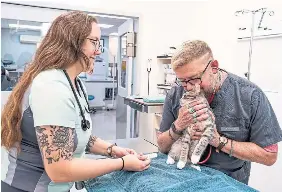 In Canada, vets face growing struggle - PressReader