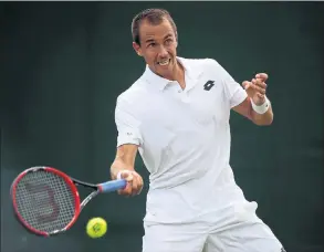  ??  ?? RETURN TO SENDER: Rosol has previous with Murray but the Czech side-stepped the issue yesterday