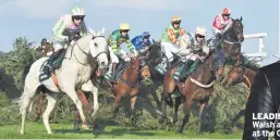  ??  ?? LEADING LADY Katie Walsh and, left, in action at the Grand National