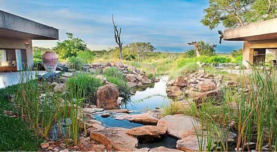  ??  ?? the gorgeous view from the lobby of the earth Lodge. Here, you would feel as if it’s just you and the animals on the vast bushveld. – rod Wyndham