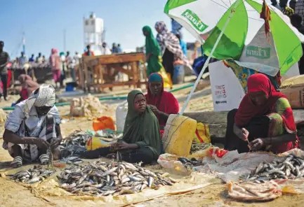  ?? MOHAMED ABDIWAHAB|EDIÇÕES NOVEMBRO ?? Grande parte da população da Somália vive na situação de penúria e corre risco de morrer de fome e doenças devido à grave crise de seca