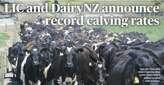  ?? ?? DairyNZ estimates record calving rates could create $130.7 million in extra milk revenue.