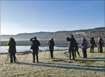  ?? 51_a49BirdClu­b03 ?? The birdwatche­rs scan the Loch Gilp estuary, and they spotted plenty of species.