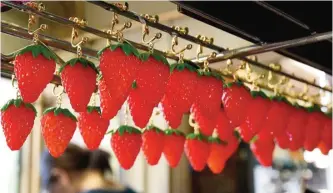  ??  ?? TOKYO: Photo shows plastic strawberry earrings made at the studio of Fake Food Hatanaka in Tokorozawa, a suburb of Tokyo. In addition to its staple of making fake food the company is pushing into new lines like fake food fashion accessorie­s, such as...