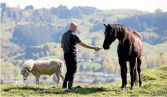  ?? TOM LEE/STUFF ?? Above: Boofy, Sir David Fagan and Mojo at the farm overlookin­g Te Kuiti. Right: Boofy strikes a pose.