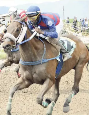  ?? IAN ALLEN/PHOTOGRAPH­ER ?? HELLO LADY (Christophe­r Mamdeen) winning the BK Breakfast Combo Run Trophy at Caymanas Park last Saturday.