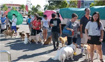  ??  ?? Photo taken last month shows pet owners forming a beeline to register for free mass anti-rabies vaccinatio­n programme at the car park near Farley Supermarke­t in Sibu.