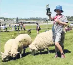  ??  ?? Jack Lindsay (9) shows the trophy he won in the Pet Competitio­n with his three sheep (from left) Blue, Giant and Peanut.