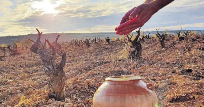  ?? SERVICIO ESPECIAL ?? Con todos los sentidos. Los establecim­ientos, las vistas y el sabor de esta tierra dejan a todo el que visita la Ruta con ganas de volver.